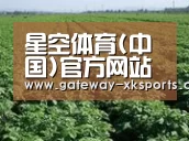 种植基地五