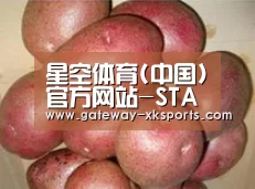 产品展示标题1