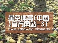 种植基地八(图1)