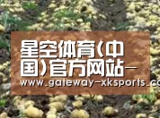 种植基地七