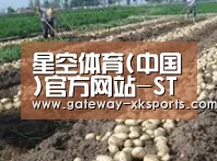 种植基地七(图1)