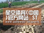 种植基地八