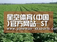 种植基地五(图1)