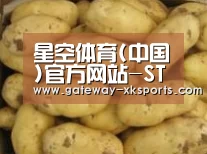 产品展示标题6