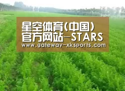种植基地四
