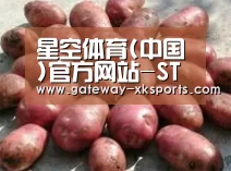 产品展示标题5(图1)