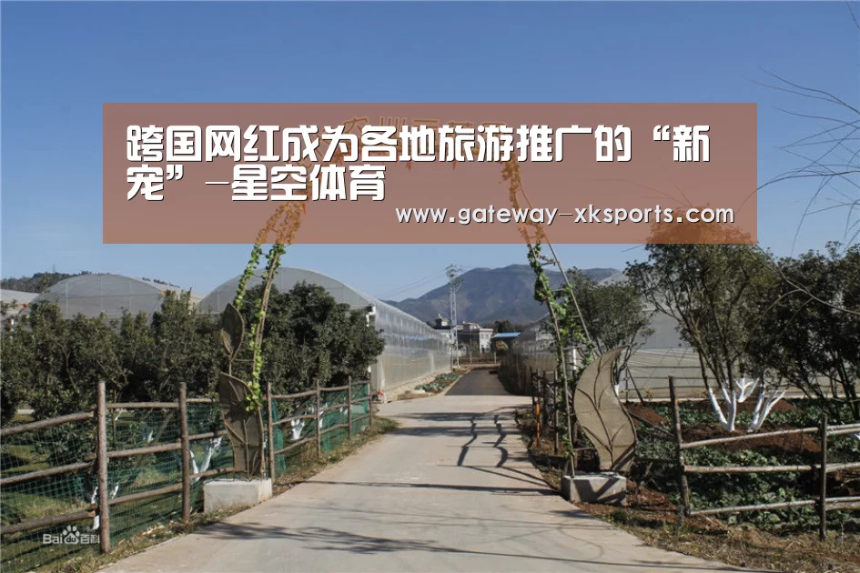 跨国网红成为各地旅游推广的“新宠”-星空体育(图2) 星空体育app