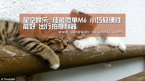 星空娱乐-佳能微单M6 小巧轻便性能好 出行拍摄利器(图3) 星空体育app