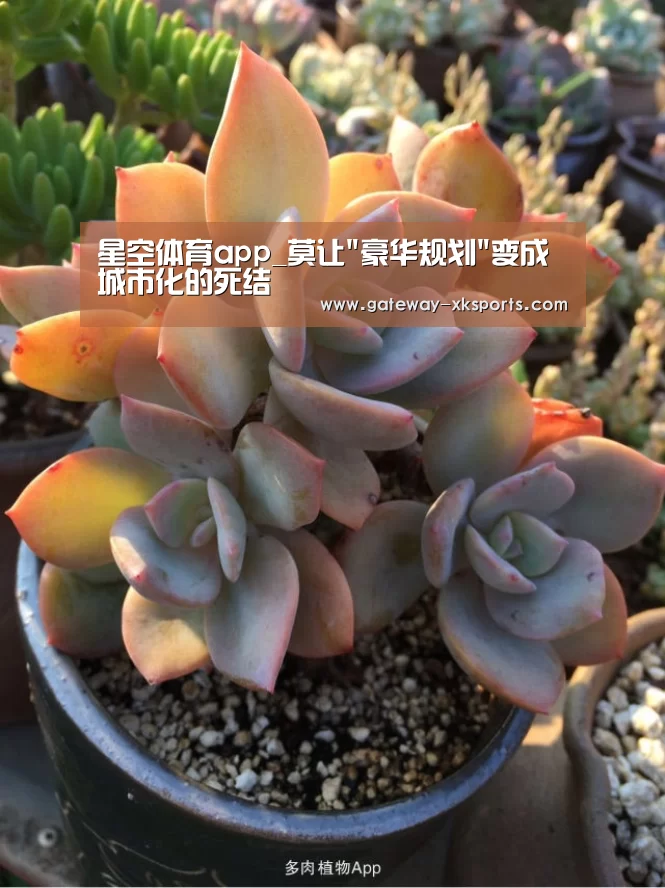 星空体育app_莫让豪华规划变成城市化的死结(图1) 星空体育app